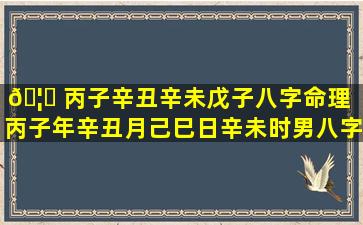 🦆 丙子辛丑辛未戊子八字命理「丙子年辛丑月己巳日辛未时男八字」